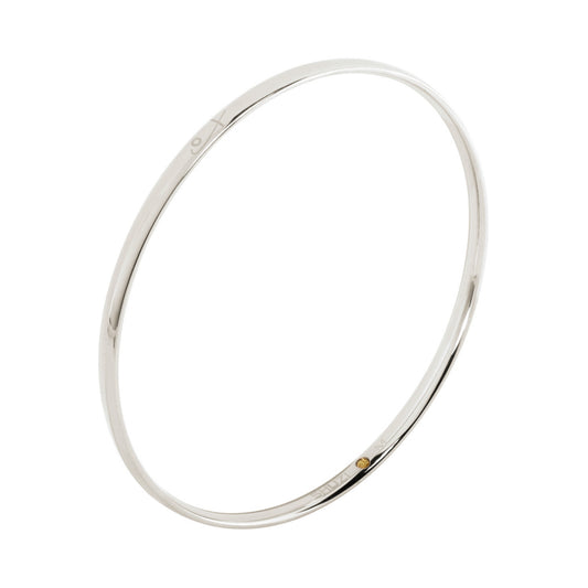 Polished Bangle (SS) - main