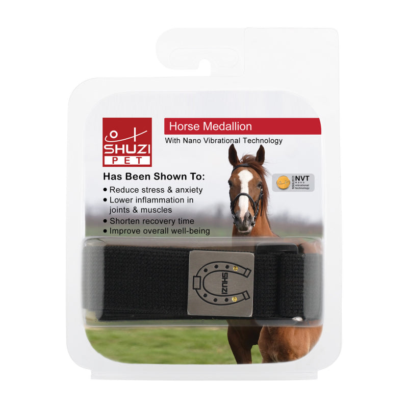 Horse Medallion (Ti) - main
