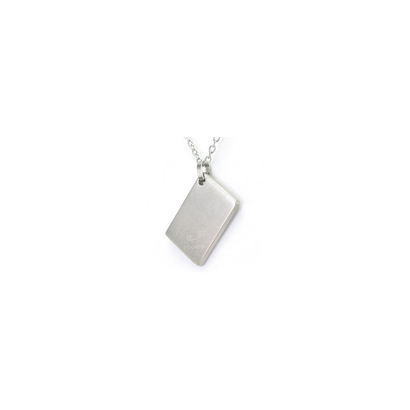 Tag Pendant Brushed (Ti) - main