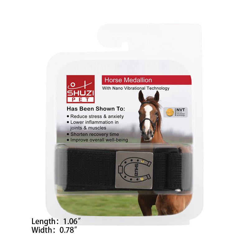 Horse Medallion (Ti) - view 2